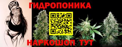 ГАЛЛЮЦИНОГЕННЫЕ ГРИБЫ Будённовск