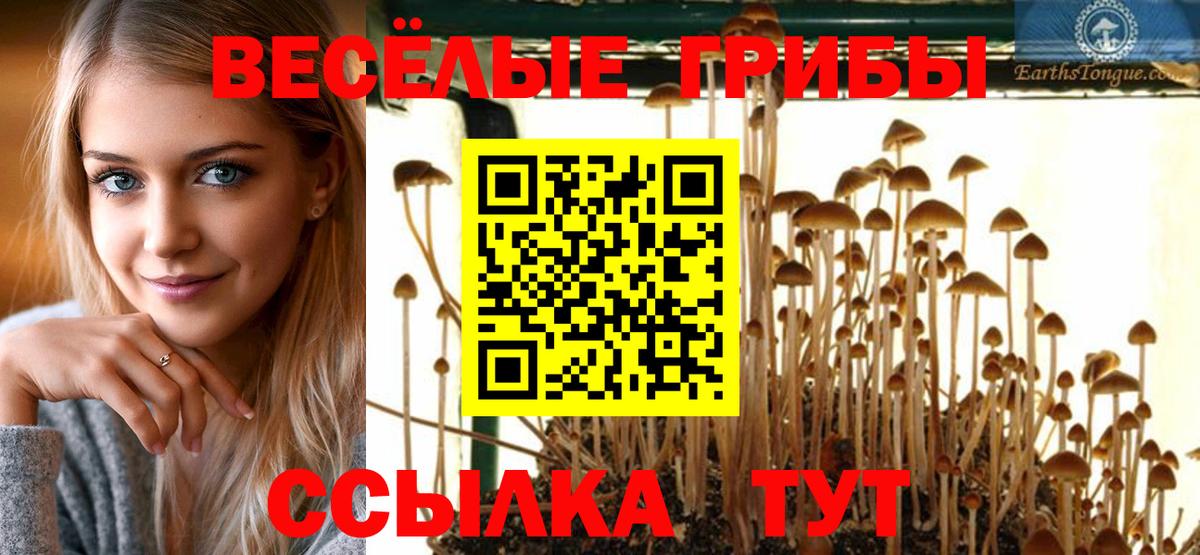 Псилоцибиновые грибы прущие грибы Сарапул